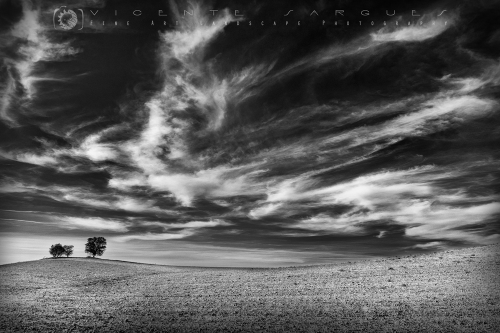 Encinas y nubes