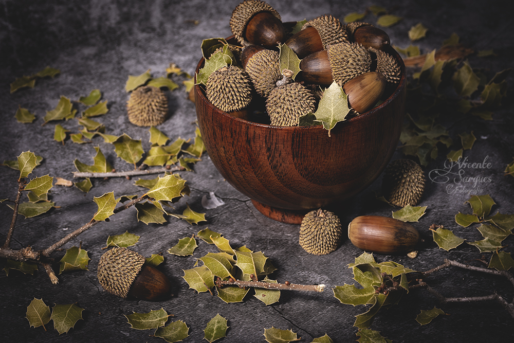 Bodegón de bellotas