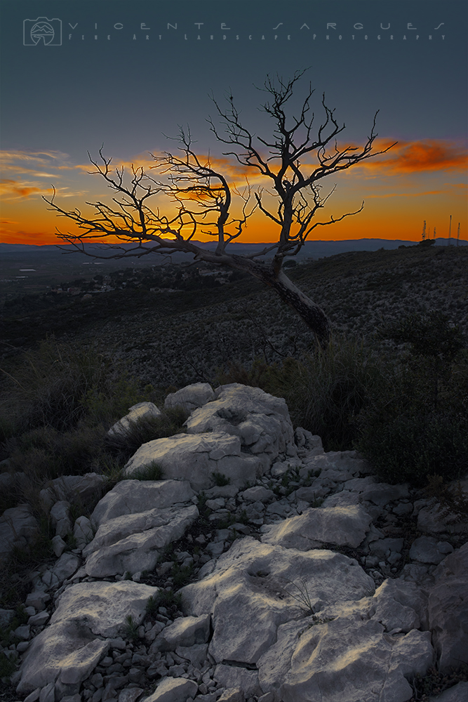Rocas al atardecer